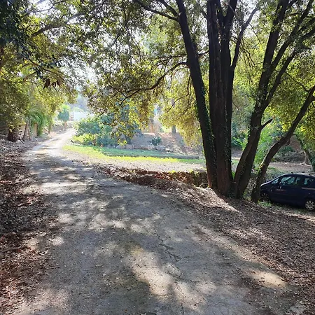 Homestay szállás Unicorn A Antibes